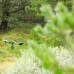 0167-romo-julianehab-12 * Kongsmark